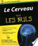 Le Cerveau Pour les Nuls