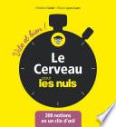Le Cerveau vite et bien pour les Nuls