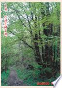 Le chemin