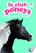 Le club des poneys - Tome 6