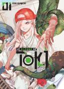 Le Dilemme de Toki -