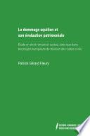 Le dommage aquilien et son évaluation patrimoniale