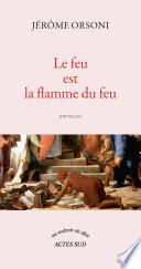Le feu est la flamme du feu