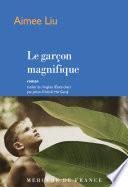 Le garçon magnifique
