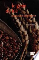 Le grain de blé