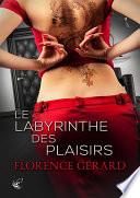 Le Labyrinthe des Plaisirs
