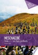 Le Meschacébé