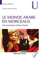 Le monde arabe en morceaux