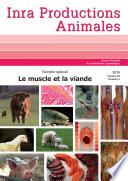 Le muscle et la viande