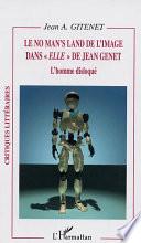 Le no man's land de l'image dans Elle de Jean Genet