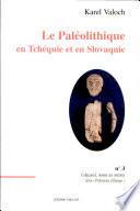 Le paléolithique en Tchéquie et en Slovaquie