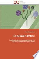Le palmier dattier: