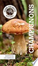 Le petit guide Hachette des champignons