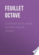 Le roman d'un jeune homme pauvre (Novel)