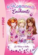 Le Royaume Enchanté 07 - Le volcan à bulles