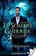 Le sombre guerrier