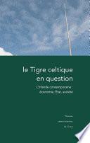 Le Tigre celtique en question