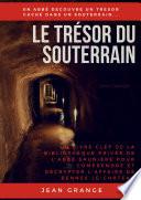 LE TRÉSOR DU SOUTERRAIN : UN LIVRE CLEF DE LA BIBLIOTHÈQUE PRIVÉE DE L'ABBÉ SAUNIÈRE POUR COMPRENDRE ET DÉCRYPTER L'AFFAIRE DE RENNES-LE-CHÂTEAU