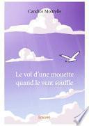 Le vol d'une mouette quand le vent souffle