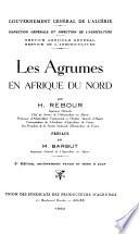 Les agrumes en Afrique du nord