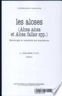 Les aloses (Alosa alosa et Alosa fallax spp.)