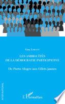 Les ambiguïtés de la démocratie participative