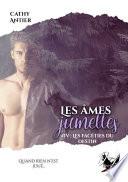 Les Âmes-Jumelles #4