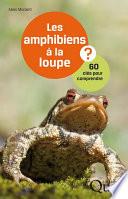 Les amphibiens à la loupe