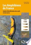 Les Amphibiens de France