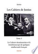 Les Cahiers de Junius - Tome 3
