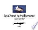 Les cétacés de Méditerranée
