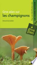 Les champignons