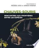 Les chauves-souris