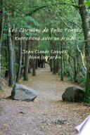 Les Chemins de Folle PensŽe, Entretiens avec un druide