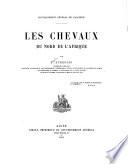 Les chevaux du nord de l'Afrique