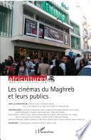 Les cinémas du Maghreb et leurs publics