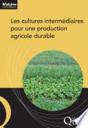 Les cultures intermédiaires pour une production agricole durable