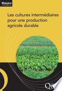 Les cultures intermédiaires pour une production agricole durable