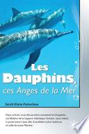 Les Dauphins, ces Anges de la Mer
