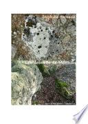 Les dolmens de Montcuq