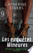 Les Enquêtes Mineures