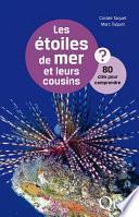 Les étoiles de mer et leurs cousins