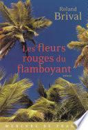 Les fleurs rouges du flamboyant