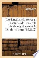 Les Fonctions Du Cerveau
