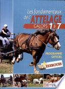 Les fondamentaux de l'attelage