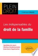 Les Indispensables du droit de la famille