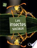 Les insectes sociaux