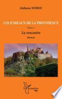 Les jumeaux de la providence. Roman Tome 1