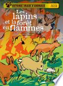 Les lapins et la forêt en flammes