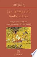 Les Larmes du Bodhisattva